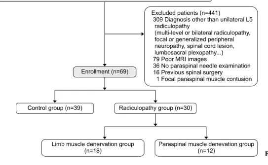 Fig.  1.  A  flowchart  of  subjects.의 여지가 있다.5-8  Battie  등9은 자기공명영상을 이용해 제4-5  요추간 및 제5  요추-제1  천추간 추간판 탈출 환자에서 건측과 환측의 다열근 단면적을 측정하였고,  단순 단면적은 오히려 환측에서 더 컸지만,  단순 단면적에 대한 기능적 단면적의 비율은 환측이 유의하게 낮음을 보고하였다