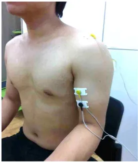 Figure  1. Location of EMG electrodes. Warm-up/cool-down group(n 1 =11) Warm-up group(n2=10) Cool-down group(n3=12) Control group(n4=11) Age 21.1±2.8 a 20.5±2.8 21.2±2.0 21.0±1.9 Height 172.5±7.3 177.9±4.9 175.9±4.0 176.4±4.4 Weight 68.6±11.8 67.7±3.5 70.2