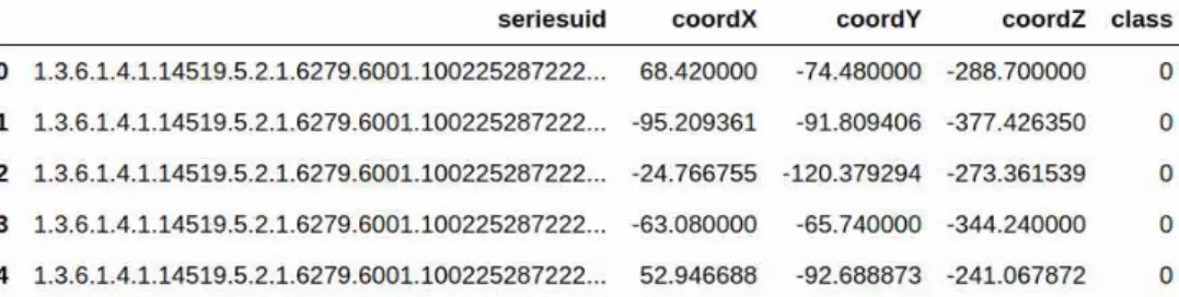 Fig. 1. Configuration of candidate *.csv file.