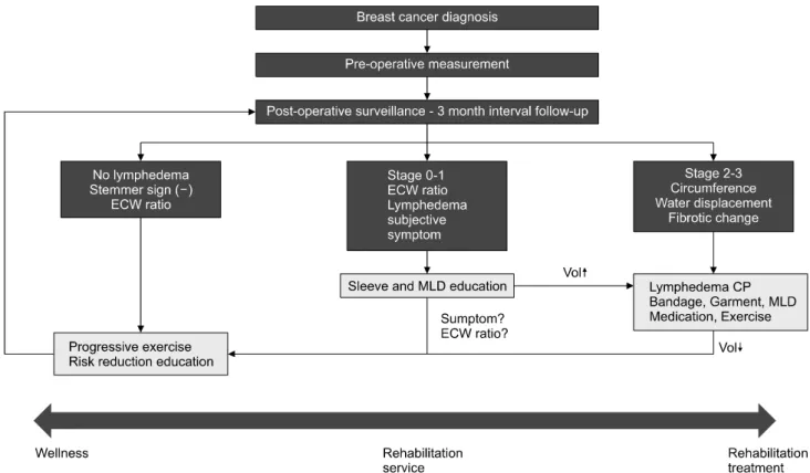 Fig.  1.  Clinical  pathway  for  the  prospective  rehabilitation  model  of  care.