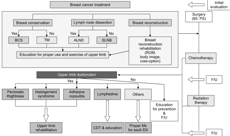Fig.  2.  Clinical  pathway  for  rehabilitation  of  breast  cancer  patients  focused  on  the  upper  limb  dysfunction