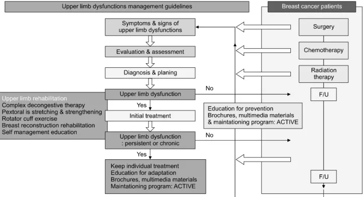 Fig.  3.  Rehabilitation  program  according  to  the  severity  of  upper  limb  dysfunction  of  breast  cancer  patients.