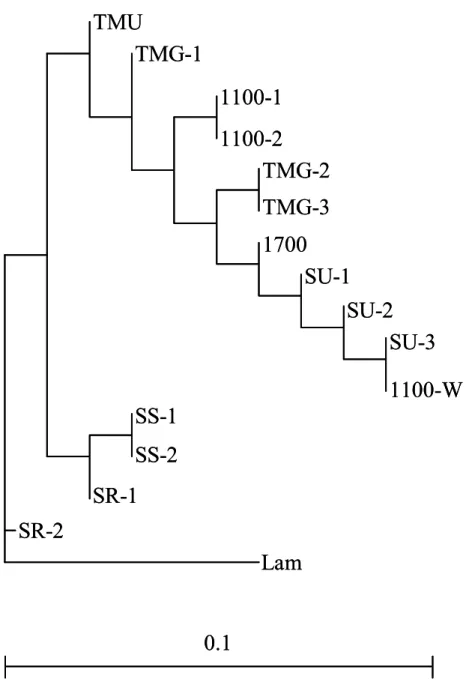 Figure 5. Neighbor-joining dendrogram based on the combined sequences data set  (cpDNA+nrDNA) among 16 taxa