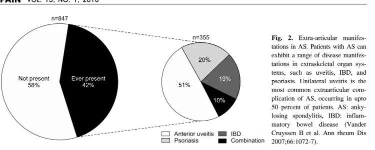 Fig.  2.  Extra-articular  manifes- manifes-tations  in  AS.  Patients  with  AS  can  exhibit  a  range  of  disease   manifes-tations  in  extraskeletal  organ   sys-tems,  such  as  uveitis,  IBD,  and  psoriasis