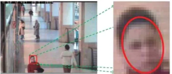 Fig. 1. Example of low resolution images such as CCTVs.