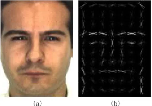 Fig. 3. Result of HOG feature extraction, (a) input and  (b) HOG feature image.