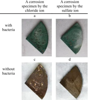 Figure 1. The corrosion specimen after 42 days.