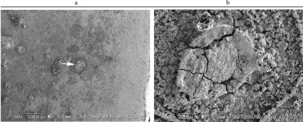 Figure 10. The corrosion products by Na 2 SO 4  solution immersed a liquid medium without iron reducing bacteria.
