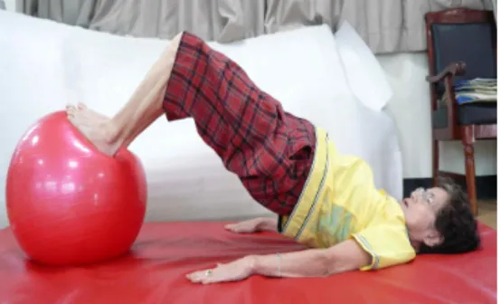 Figure 1. Supine bridging exercise on the WBV platform condition.