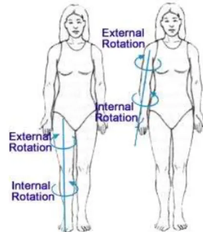 Fig. 3. Example of rotational movement.
