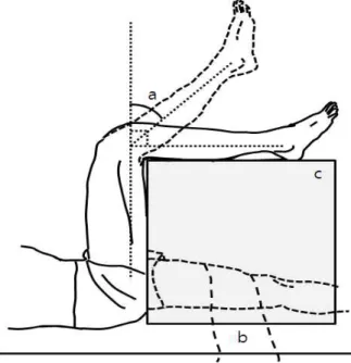 Figure 1. Experimental setting and starting position for testing (a: popliteal angle, b: stabilizing strap, c: