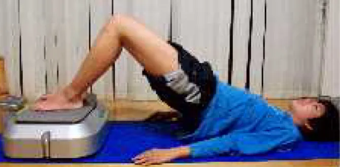 Figure 1. Supine bridging exercise on the WBV platform.