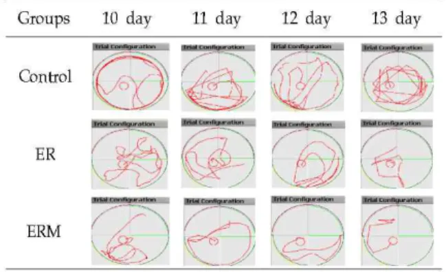 Figure 5. Comparison of acquisition performance among the three groups of MCAo in rats