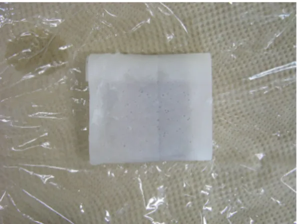 Figure 10.  Separation state after 24hr.