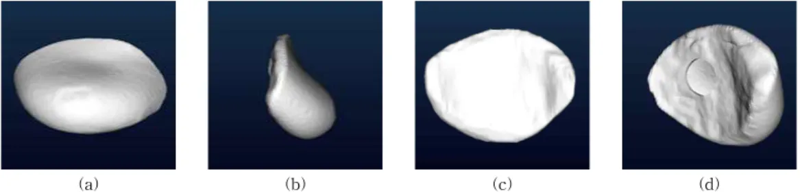 Fig. 12는 Artec studio 12로 유방 보형물 모델을  생성한 예를 보인다 . 제안된 알고리즘에서 사용한 입