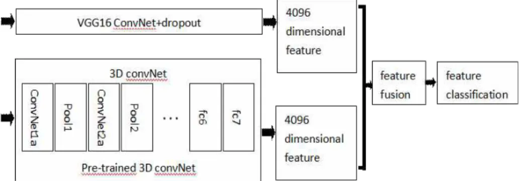 Fig. 2. Action recognition structure based on feature fusion of 3D CNN.