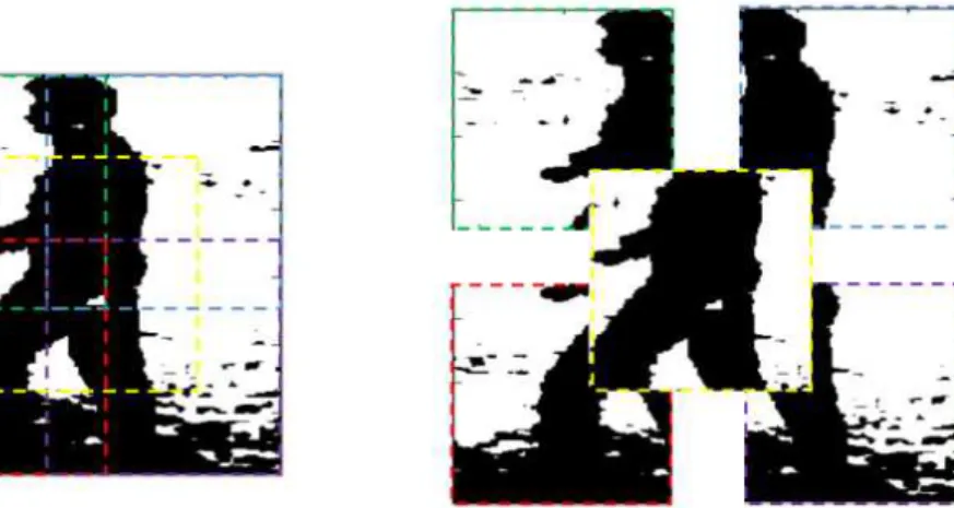 Fig. 4. Image cropping strategy.