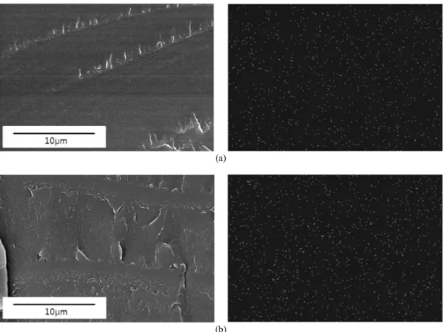 Figure 5. SEM image and EDX mapping of HBA-IPDA adhesive containing 10 wt% of (a) EP0408 and (b) EP0409