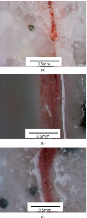 Figure 11. Permeation depth of red dye into the granite  samples.