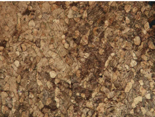 Figure 6. Microstructure of bronze spoon (Ra-3 tomb 