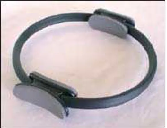 Figure 1. Pilates magic circle.