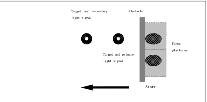 Figure 1. Experimental setup.