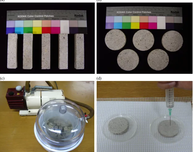 Figure 1. The tested rock samples and accumulation methods of soluble salt in the rock samples