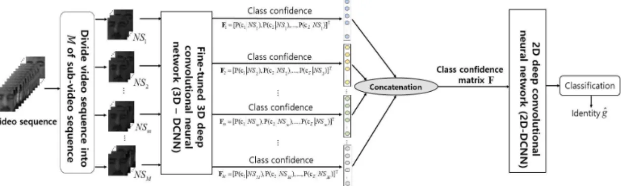 Fig. 2. Visualized examples of 2D and 3D convolution/pooling operations. (a) Applying 2D convolution on image  results in an images