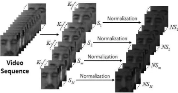 Fig. 3. Example of generation and normalization of M  sub-video sequences each composed of K face  images.
