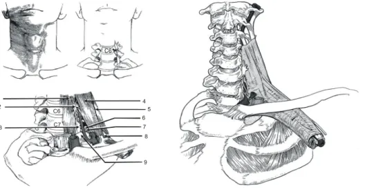 Table  2.  Complications  &amp;  Side  Effects  of  Stellate  Ganglion  Block