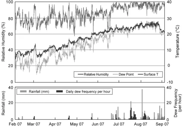 Figure 11. Indoor relative humidity, dew point and surface temperature of the pedestal stone, and rainfall in Yeonsan and daily dew frequency