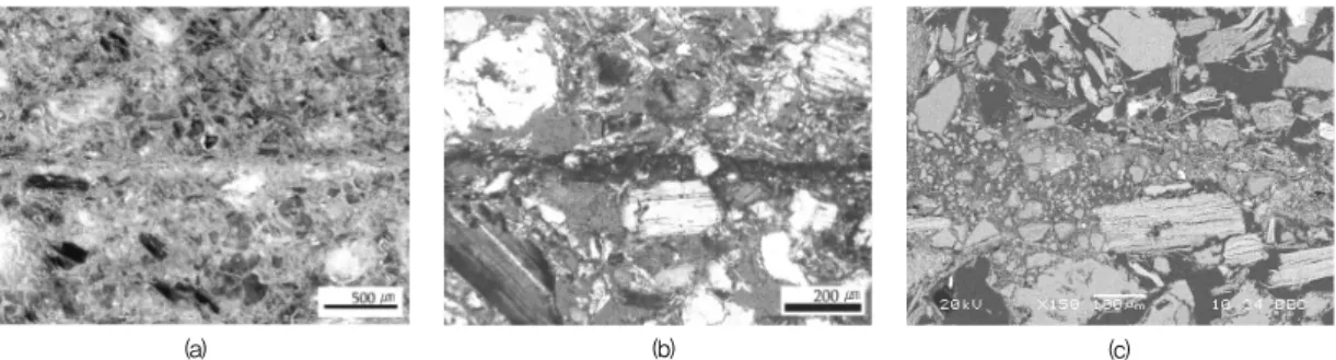 Figure 7. Results from observation on appearance condition and microstructure of the 1st pigment layer (a) Observation by optical microscope: 