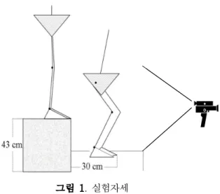 그림 1. 실험자세 특성 남자 (n=30) 여자 (n=30) 나이(세) 22.4±2.2 a 22.3±3.1 신장(㎝) 174.0±5.5 161.2±3.7 체중(㎏) 68.7±8.3 55.4±6.1 Q각(°) 8.9±4.1 13.6±4.8 a 평균±표준편차 표 1