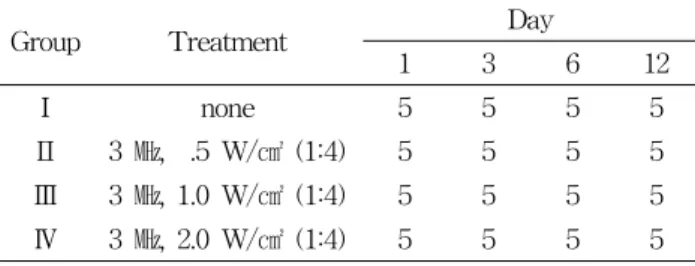 Table 1. Classification of experimental groups 초음파 도자를 적용하지 않는 군이며, 실험군 Ⅱ는 .5 W/㎠ 강도 초음파 적용군, 실험군 Ⅲ은 1.0 W/㎠ 강도 초음파 적용군, 실험군 Ⅳ는 2.0 W/㎠ 강도 초음파 적용군으로 하였으며 맥동비는 1:4로 적용하였다(Table 1).각 군당 실험 개시일로부터 1일, 3일, 6일, 12일이 경과한 시기에 각각 5마리씩 희생시켜 실험에 표시하였다