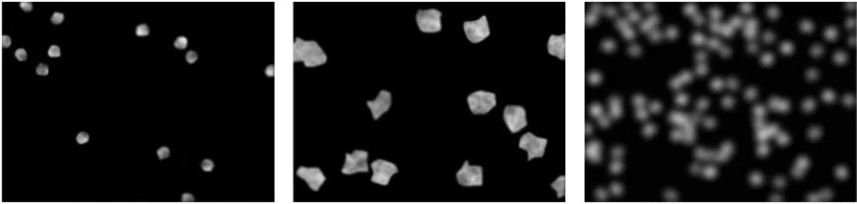 Fig. 2. Examples of the images used for the experiments: left, a microcopy image containing 14 cells; in the center,  we have 14 cells also; in the right, the image contains 100 cells