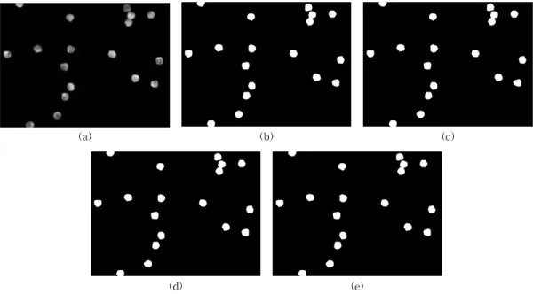 Fig. 5. Results of the segmentation, case of non-overlapping cells. (a) The original phase contrast image; (b) the ground  truth; in (c), (d), and (e), we have the masks computed using the proposed method, the Unet [8] and the FPN  [4], respectively