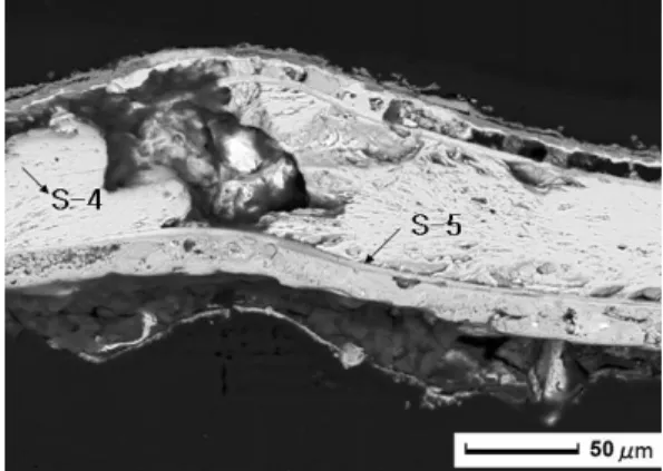 Figure 20. Backscattered electron images of metal rim microstruc- microstruc-ture (Shinan 2491) 