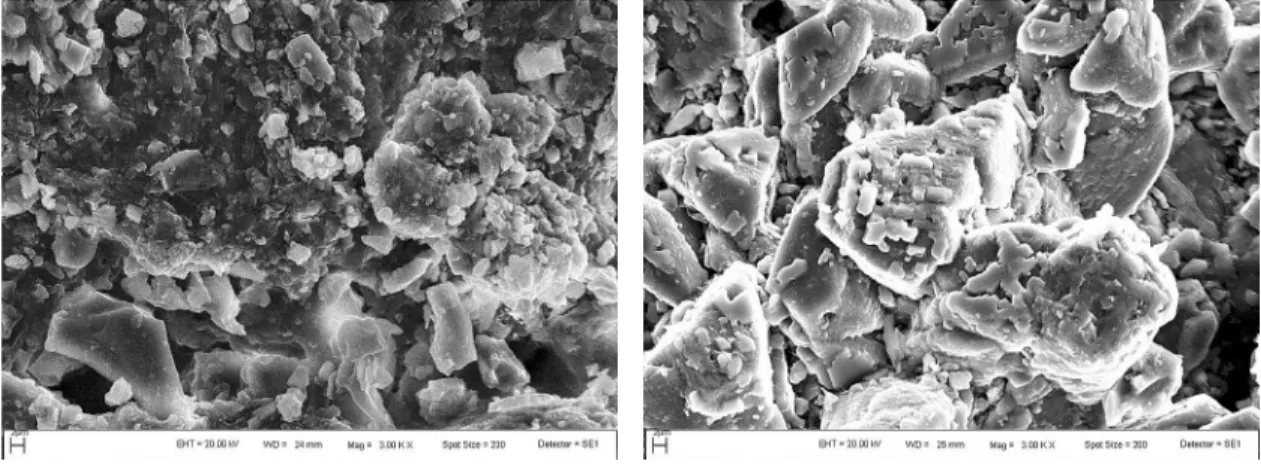 Figure 3. Microstructure of exfoliation samples from stone monuments by SEM.