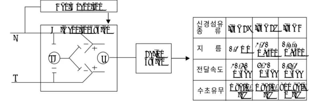 Fig.  1.  관문조절 (gate  control)   이론.