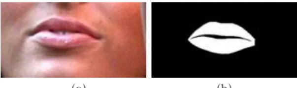 Fig. 1. The definition of lips and skin region: (a) mouth  image (b) ground truth image of lips.