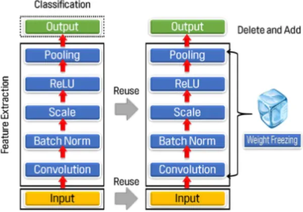 Fig. 1. Weight freezing method of transfer learning.
