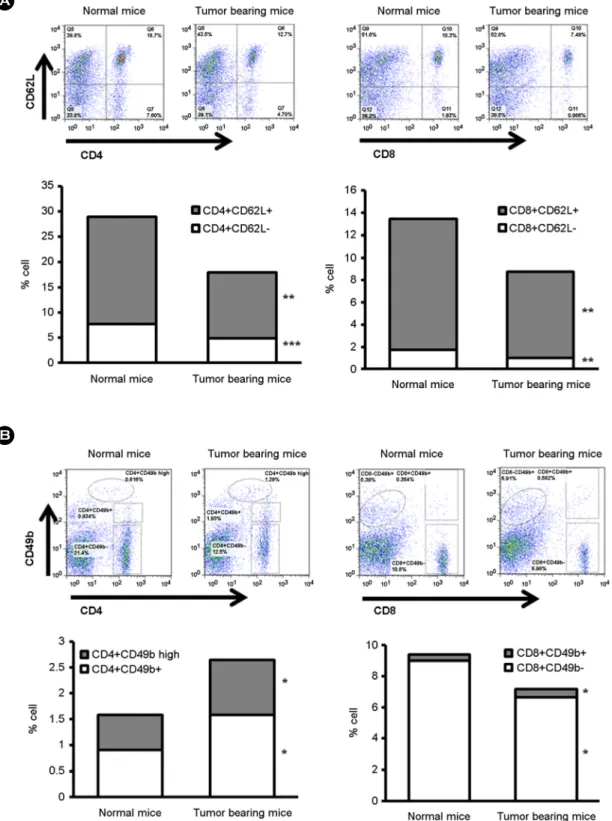 Fig. 2. The variation of  CD62L and CD49b expression in the CD8+ T cell on tumor bearing mice