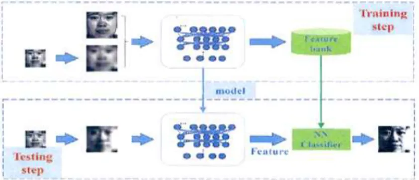 Fig. 1. Multi-scale Convolutional Neural Network (MSCNN) algorithm training and testing process.