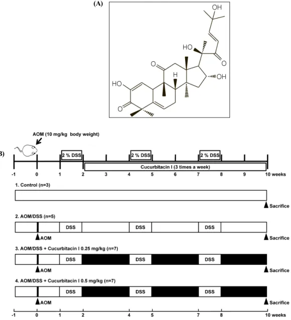 Fig. 1. The chemical structure of cucurbitacin I and experimental design. (A) The chemical structure of cucurbitacin I