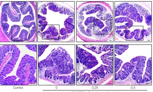 Fig. 5. Cucurbitacin I inhibited AOM/DSS ‐ induced iNOS, TNF ‐ α  and IL ‐ 6 in mouse colon