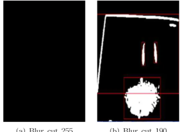 Fig. 4 Principle of Kinect Camera.