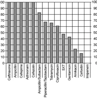 Fig. 3. Detection of amplified products of bla TEM  genes, bla SHV