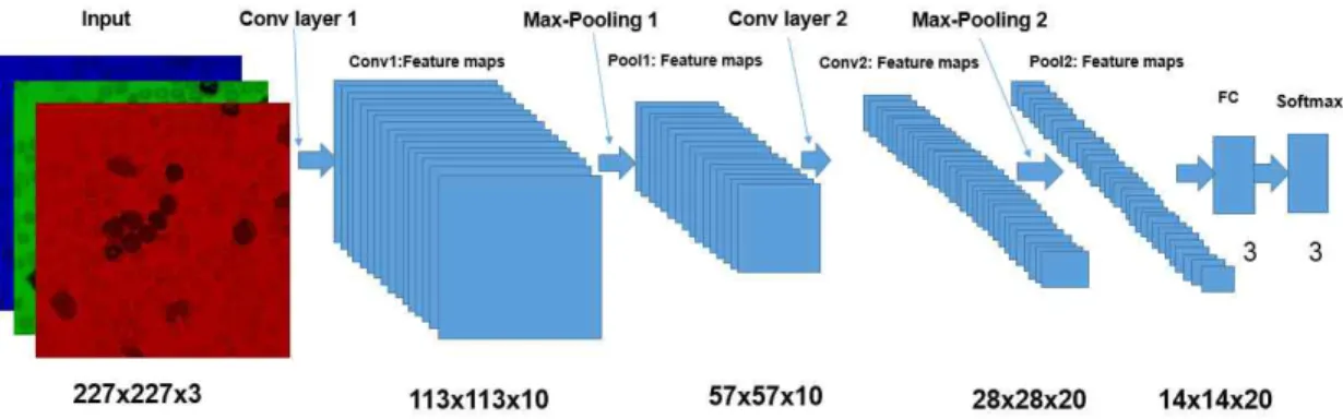 Fig. 4. The proposed CNN architecture to classify three classes.