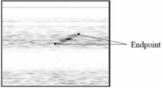 Fig. 6. Line segment to represent the percentage of the  target in the window.