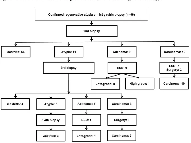 Figure 4. Flowchart of the final diagnosis of 96 patients with regenerative atypia. 